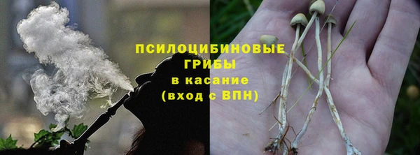 дмт Бронницы