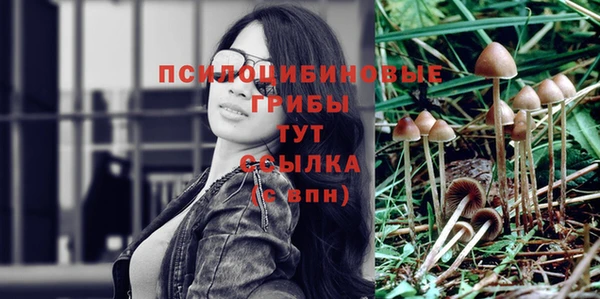 трава Бугульма