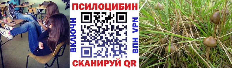 Купить закладки  Петухово  Галлюциногенные грибы мицелий 