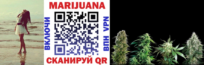 Конопля индика  Купить где  Петухово 
